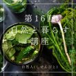 画像1: 【2月13日(木）オンライン講座】自然と暮らす講座・野草の入門３大薬草（よもぎ・スギナ・どくだみ）の座学と採取時期、採取方法、活用方法の実例集。安全なお野菜の見分け方のコツ。自分で作るモグサ、モグサの作り方。 (1)